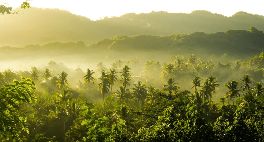 At Ashtari Yoga you can practice in the beautiful tropical nature surrounding of Kuta Lombok