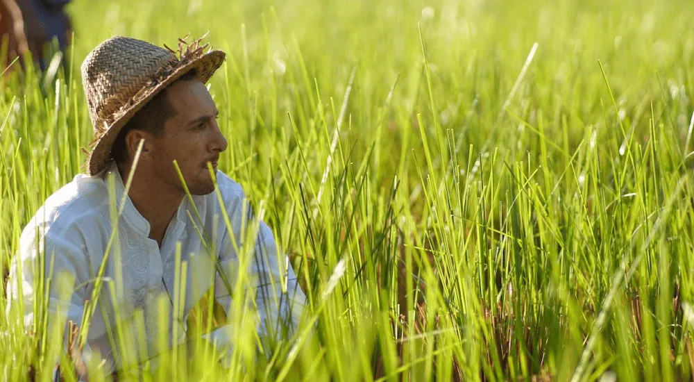 Jean Marc founder of Ashtari yoga Surrounded by grass in cultural Indonesian hat